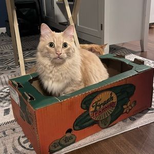 Meet your Posher, Abiezer